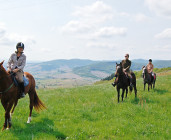 L'Etape Cavalière - Centre équestre