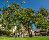 Domaine des Crêtes