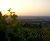 Château de Lachassagne