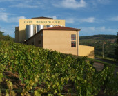 Oedoria Caveau de Theizé