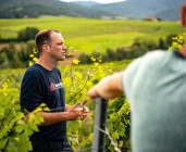 Frédéric Berne: vigneron au Château des Vergers
