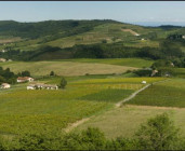 Domaine Le Bourlay