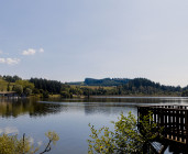 Lac des Sapins