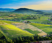 Le Mont Brouilly