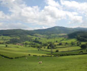Circuit des croix