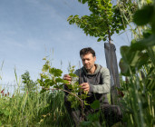 Visite complète du domaine