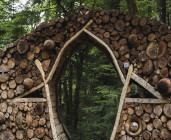 Balade dans la forêt des expériences