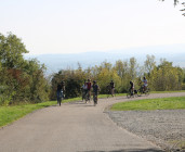 Découverte des Crus du Beaujolais - Tour demi-journée