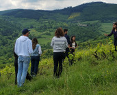 Balade dans les vignes et Dégustation 4 vins bios