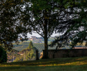 Visite et dégustation