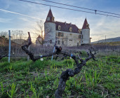 Demi-journée Best of Château & Wine - avec guide, à bord de votre véhicule