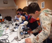 Fête de la science