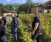 Dégustation de vins commentée & immersion au cœur de notre Domaine viticole