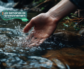 Les bienfaits de l'eau