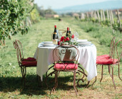 Dîner dans les vignes au Château Thivin  - Dîner