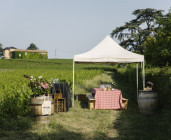 Une découverte au pied du Mont Brouilly  - Déjeuner