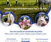 Stages nature et chevaux