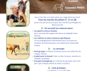 Stage cheval et nature