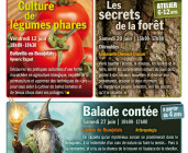 Culture de légumes phares
