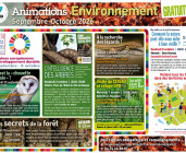 Atelier enfants « les secrets de la forêt » 6-12 ans
