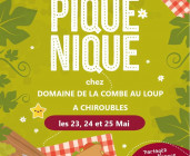 Dégustation Vins en Beaujolais