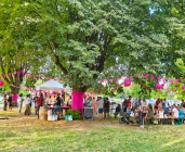 A la rencontre de nos vignerons