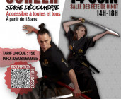 SABRE CORÉEN : Stage découverte