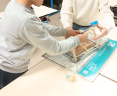 Atelier Labo des Grands : Catapulte