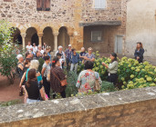 Visite : Jardin du cloître