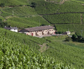 Visite commentée du Domaine de La Presle