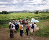 Balade guidée : circuit "D'or et de vin" - Les Murmures du Temps