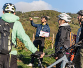Le Pass Découverte – Les 100 ans du Marché aux Vins de Fleurie