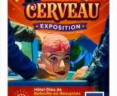 Exposition - Incroyable Cerveau