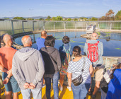 Visite guidée de CITEAU