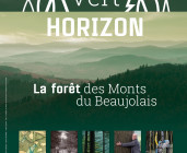 Vert Horizon, la forêt des Monts du Beaujolais