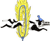 Bazar Circus
