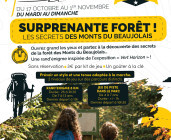 Surprenante forêt !