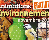 Fabrication de boules de graisse pour les oiseaux