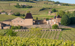 Château de Juliénas