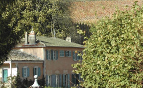 Château de Javernand