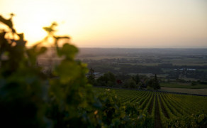 Château de Lachassagne