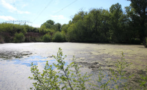 Etang de Marcilly : pêche