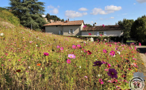 La Glycine