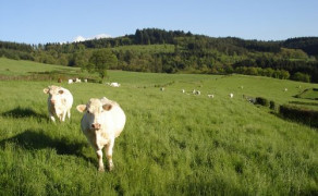 Circuit de St Christophe la Montagne