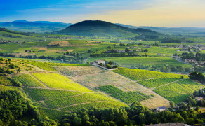 Le Mont Brouilly