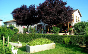 Le Gîte de Bacchus