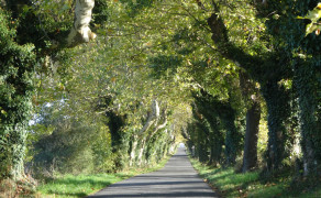 Circuit des 8 000 ceps