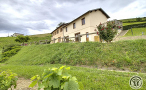 Gîte de l'Artisan-Vigneron