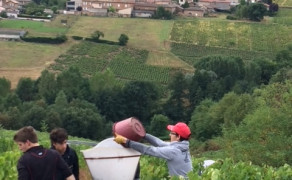 Visite, dégustation et casse croûte