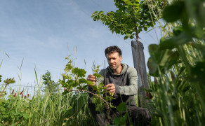 Visite complète du domaine